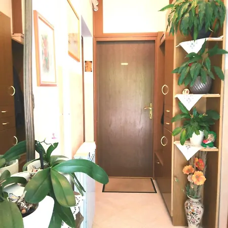 Apartment Antea -kvarner Gulf Moscenicka Draga
