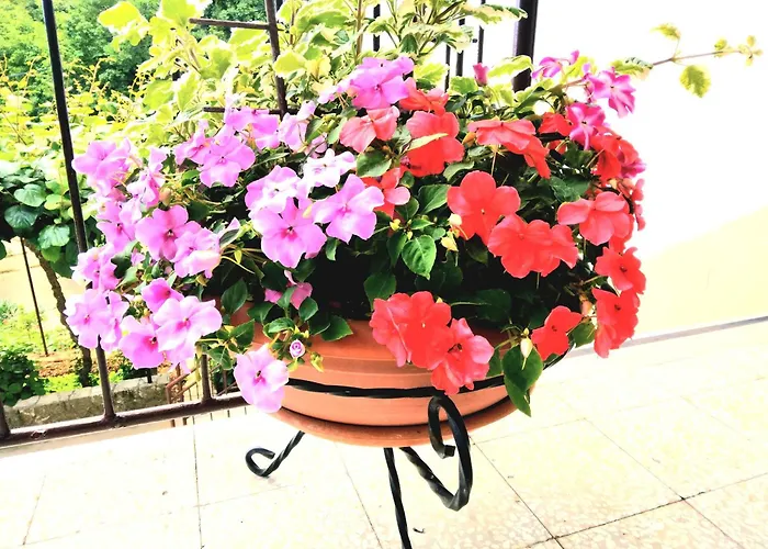 Antea -opatija Riviera 公寓